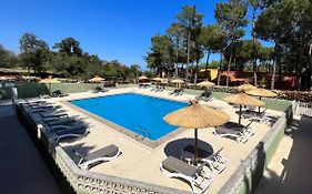 Domaine Des Mimosas